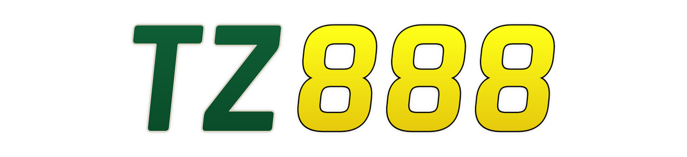 tz888 Logo